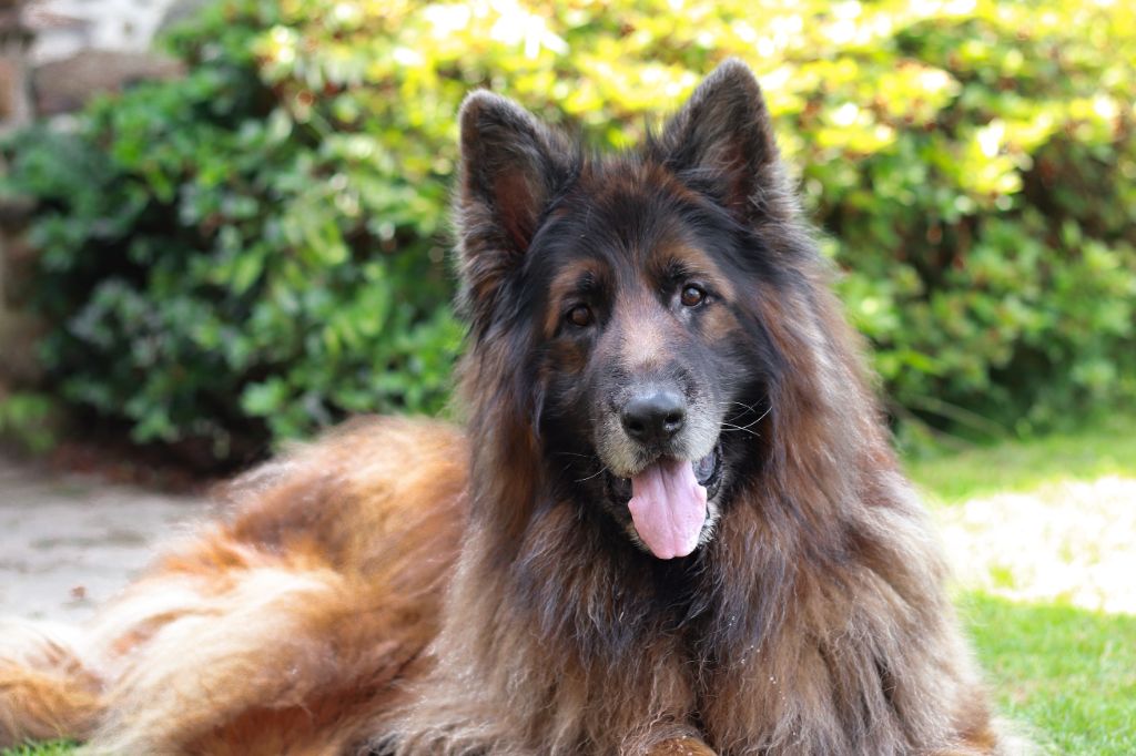 M'daytona Du normont